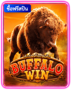 BUFFALO WIN